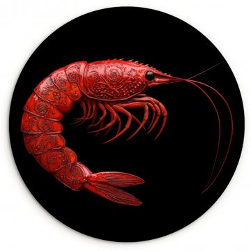 Tableau rond - Crevette - Rouge - Animaux