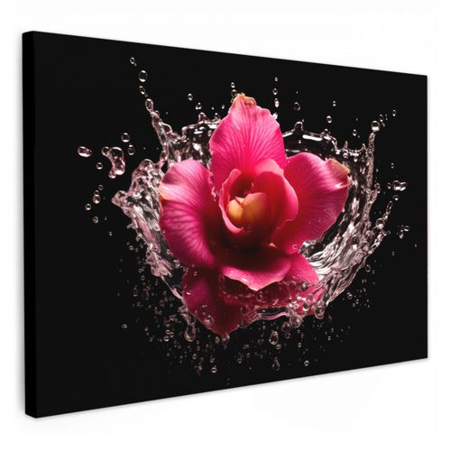 Tableau sur toile - Fleurs - Rose - Eau - Noir - Botanique - Nature