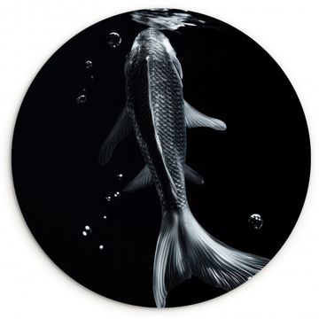 Tableau rond - Koi - Poisson - Eau - Noir