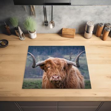 Protection plaque induction - Le souverain des Highlands