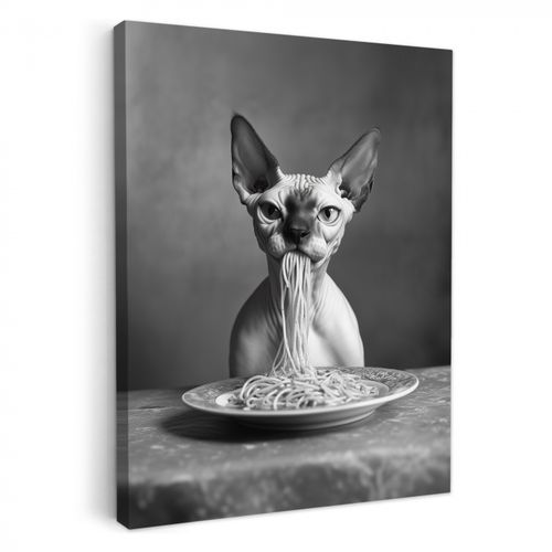 Tableau sur toile - Sphynx - Chat - Animaux - Humour - Spaghetti - Noir et blanc