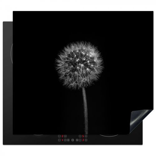 Nuit étoilée de Dandelion