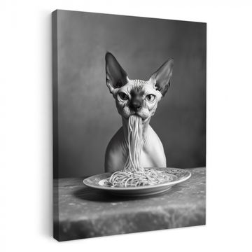Tableau sur toile - Sphynx - Chat - Animaux - Humour - Spaghetti - Noir et blanc