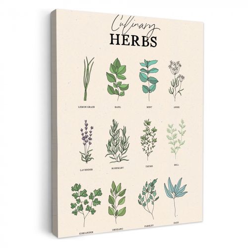 Tableau sur toile - Plantes - Cuisine - Herbes