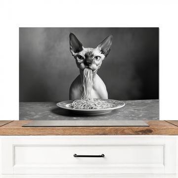 Fond de hotte - Sphynx - Chat - Animaux - Humour - Spaghetti - Noir et blanc