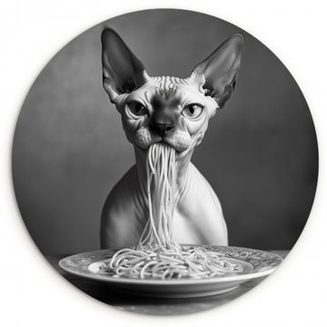 Tableau rond - Sphynx - Chat - Animaux - Humour - Spaghetti - Noir et blanc