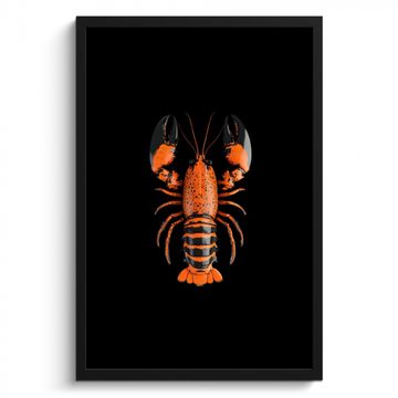Cadre Photo - Homard - Noir - Orange - Blanc - Unique