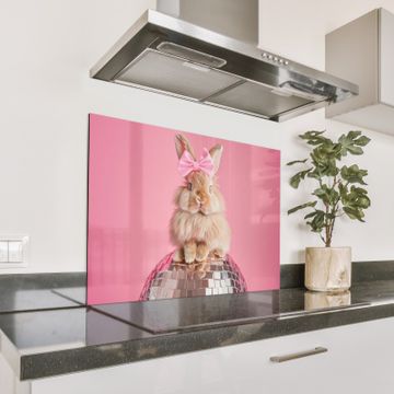 Fond de hotte - Arc - Discoball - Lapin