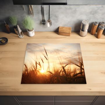 Protection plaque induction - Coucher de soleil sur le blé