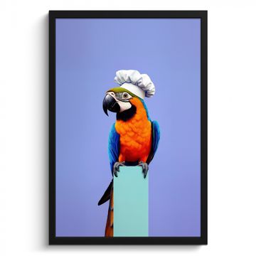 Cadre Photo - Perroquet - Toque - Oiseau - Sympa