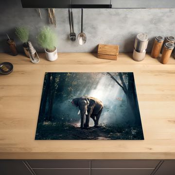 Protection plaque induction - Rencontre avec la brume matinale
