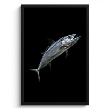 Cadre Photo - Maquereau - Poisson - Noir