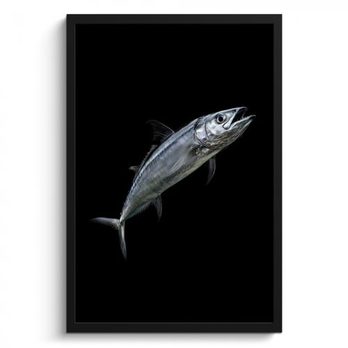 Cadre Photo - Maquereau - Poisson - Noir