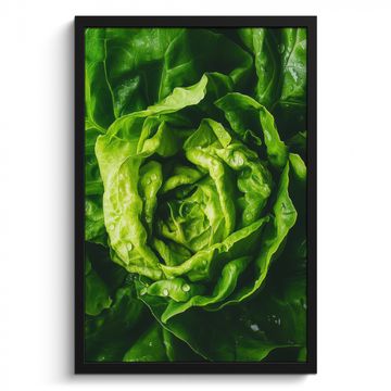 Cadre Photo - Légumes - Laitue - Verte