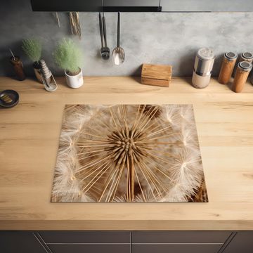 Protection plaque induction - Le halo de la nature