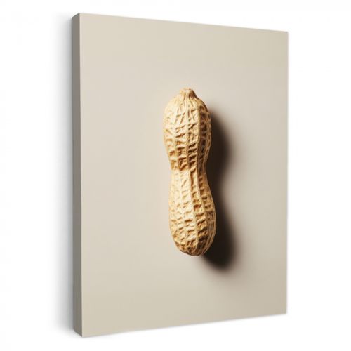 Tableau sur toile - Cacahuète - Crue - Beige