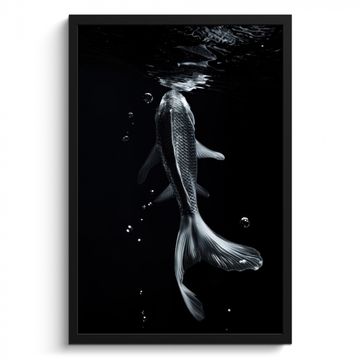 Cadre Photo - Koi - Poisson - Eau - Noir