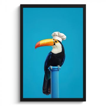 Cadre Photo - Toucan - Socle - Oiseau - Toque