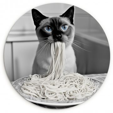 Tableau rond - Chat - Siamois - Noir et blanc - Mignon - Animaux