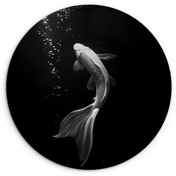 Tableau rond - Koi - Poisson - Blanc - Noir