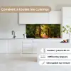 Bos - Pad - Bomen - Groen - Zon - Natuur keuken achterwand 2 middel -sfeer4_FR