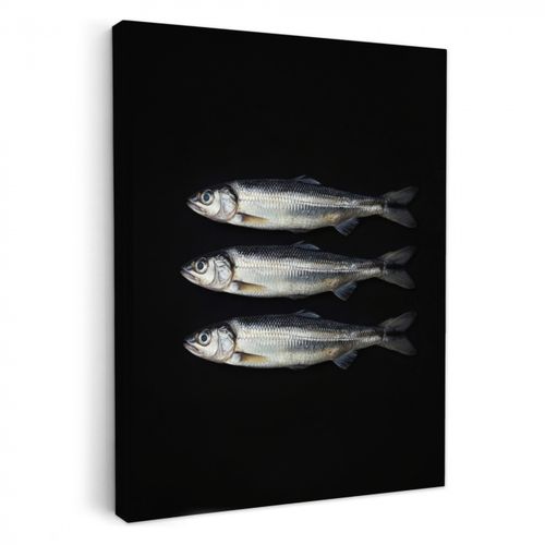 Tableau sur toile - Hareng - Poisson - Noir