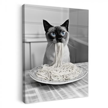 Tableau sur toile - Chat - Siamois - Noir et blanc - Mignon - Animaux