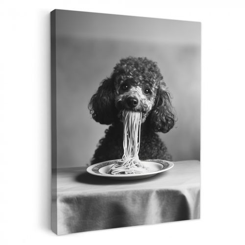 Tableau sur toile - Caniche - Chien - Noir - Blanc - Mignon - Pâtes