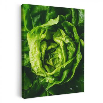 Tableau sur toile - Légumes - Laitue - Verte