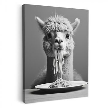 Tableau sur toile - Alpaga - Pâtes - Noir - Blanc - Drôle - Animaux