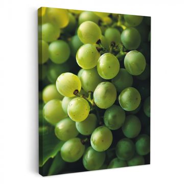 Tableau sur toile - Raisins - Grappe - Vert