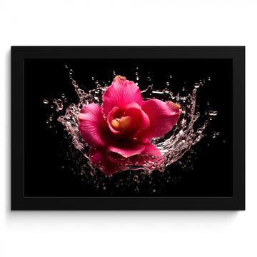 Cadre Photo - Fleurs - Rose - Eau - Noir - Botanique - Nature