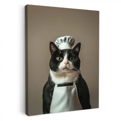 Chat - Vêtements de chef - Noir - Blanc