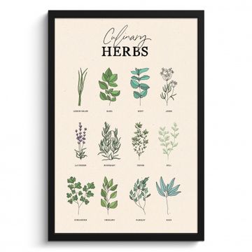 Cadre Photo - Plantes - Cuisine - Herbes