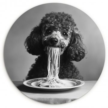 Tableau rond - Caniche - Chien - Noir - Blanc - Mignon - Pâtes