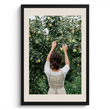 Cadre Photo - Arbre - Pommes - Cueillette - Nature