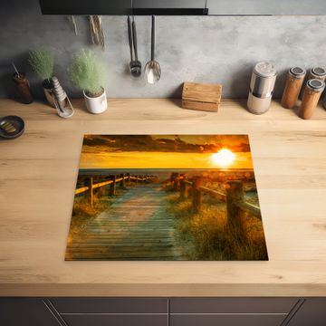 Protection plaque induction - Chemin de bois au coucher du soleil