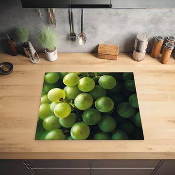 Protection plaque induction - Raisins - Grappe - Vert