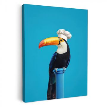 Tableau sur toile - Toucan - Socle - Oiseau - Toque