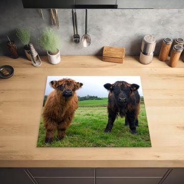 Protection plaque induction - Duo des Prés