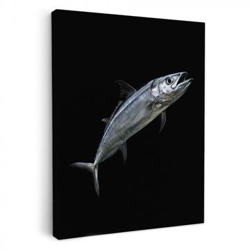 Tableau sur toile - Maquereau - Poisson - Noir