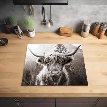 Protection plaque induction - Gardien des montagnes