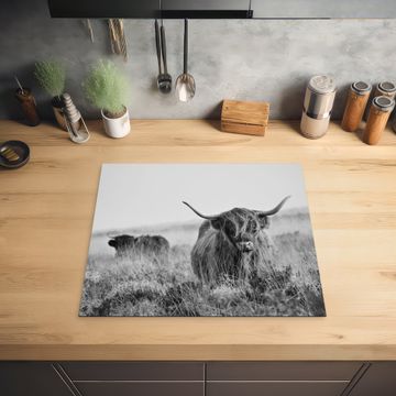 Protection plaque induction - Highlander écossais en monochrome