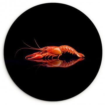 Homard - Orange - Noir - Frappant