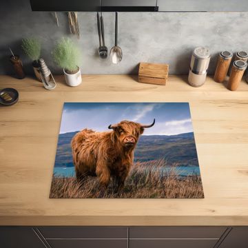 Protection plaque induction - Highlander sur la côte