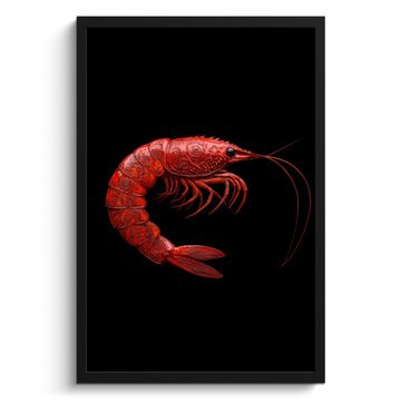 Cadre Photo - Crevette - Rouge - Animaux