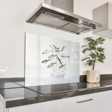 Fond de hotte - Poisson - Eau - Blanc