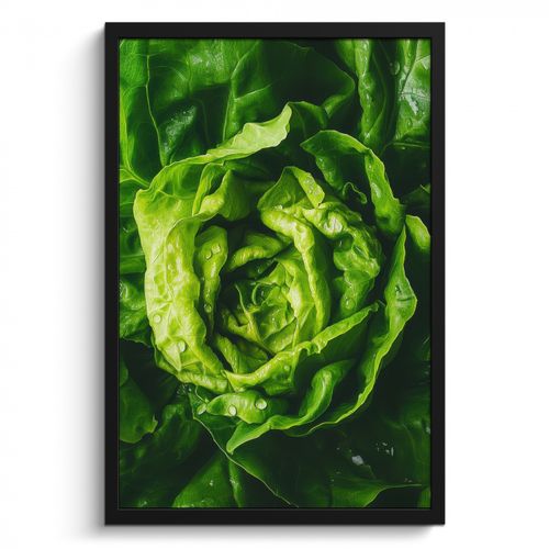 Cadre Photo - Légumes - Laitue - Verte