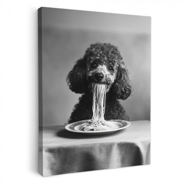 Tableau sur toile - Caniche - Chien - Noir - Blanc - Mignon - Pâtes