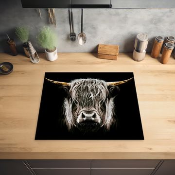Protection plaque induction - Highlander Symphony